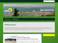 gruene-bad-zwesten.de Webseite Vorschau