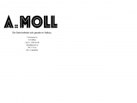 amoll.at Webseite Vorschau