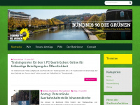 gruene-bezirksrat-mitte.de Webseite Vorschau