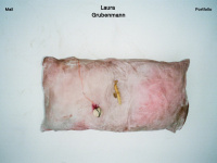 Laura-grubenmann.com