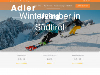 adler-living.com Webseite Vorschau