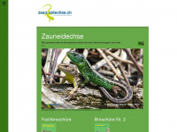 zauneidechse.ch Webseite Vorschau