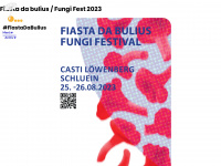 fiasta-da-bulius.ch Webseite Vorschau