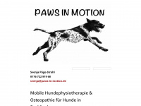 paws-in-motion.de Webseite Vorschau
