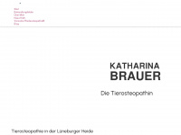 katharina-brauer.de Thumbnail