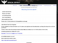 ninjaspirit.de Webseite Vorschau