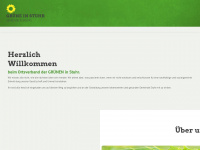 gruene-stuhr.de Webseite Vorschau