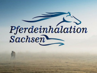 pferdeinhalation-sachsen.de Webseite Vorschau