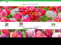 dutchgrown.nl Webseite Vorschau