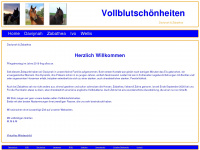m-hassenpflug.de Webseite Vorschau