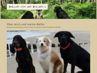 Waeller-von-der-wilden4.de