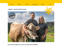 lodge24.ch Webseite Vorschau