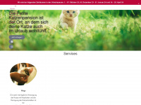 petite-katzenpension.de Webseite Vorschau