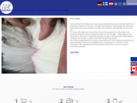 artoffibre.com Webseite Vorschau