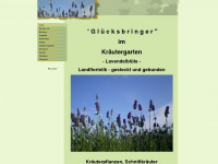 kraeutergarten-lavendelbluete.de Webseite Vorschau