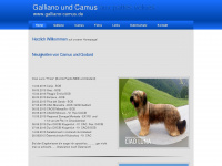 galliano-camus.de Webseite Vorschau