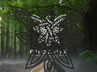 phoenix-online-agentur.de Webseite Vorschau