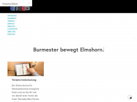 burmester.com Webseite Vorschau
