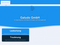 galudo.ch Webseite Vorschau