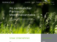 remexian.com Webseite Vorschau
