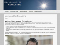 lerchenmueller-consulting.com Webseite Vorschau