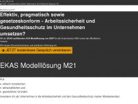 ekas-modellloesung-21.ch Webseite Vorschau