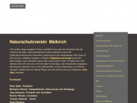nsvm.ch Webseite Vorschau
