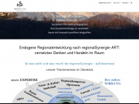 regionalsynergie.com Webseite Vorschau