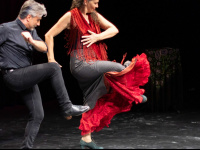 50-jahre-flamenco-ninacorti.com Webseite Vorschau