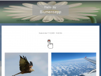 blumensepp.ch Webseite Vorschau