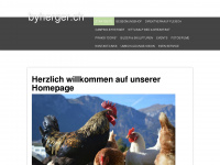 byherger.ch Webseite Vorschau