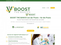 boost-the-basics.de Webseite Vorschau