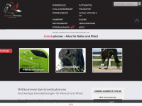 friesenpferd-zubehoer.de Webseite Vorschau