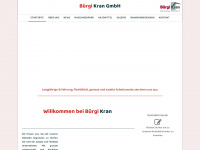 buergi-kran.ch Webseite Vorschau