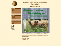 braunes-bergschaf.de Webseite Vorschau