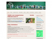 itv-itzehoe.de Webseite Vorschau
