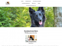 abchundeschule-nadjabreeze.com Webseite Vorschau