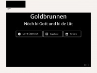 feg-goldbrunnen.org Webseite Vorschau
