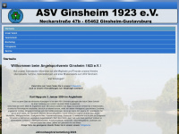asv-ginsheim.com Webseite Vorschau