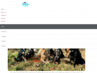 canisa-hundebetreuung.de Webseite Vorschau