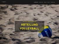 volleyball-baltmannsweiler.de Webseite Vorschau