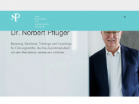 norbert-pflueger.eu Webseite Vorschau