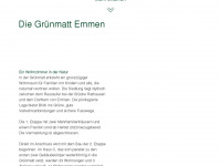 gruenmatt-emmen.ch Webseite Vorschau