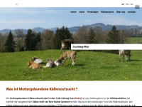 mu-ka.ch Webseite Vorschau