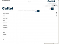 cattoiauto.com