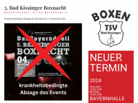 kissinger-boxnacht.de Webseite Vorschau