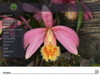orchidee.de Webseite Vorschau
