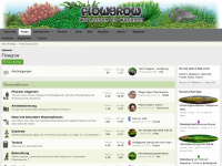 flowgrow.de Webseite Vorschau