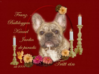 bulldoggen-kennel.com Webseite Vorschau