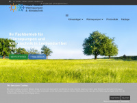 airtoshiba.at Webseite Vorschau